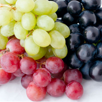 Малый годичный цикл развития винограда